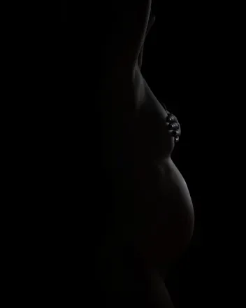 @pregnant_shellless