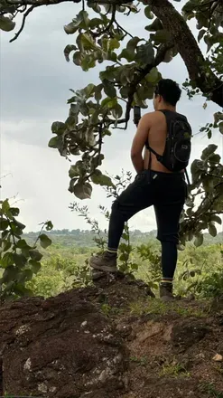@onlybrazilboy