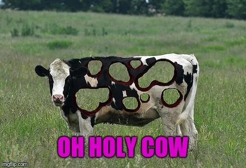 @urholycow