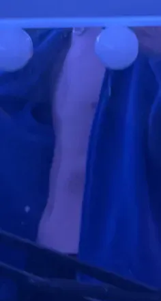 @sebbytwink