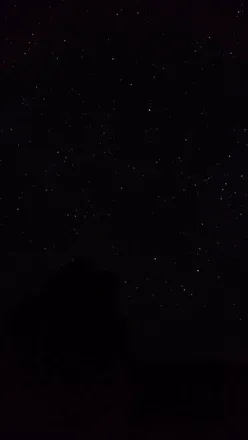 @wwwayward