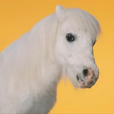 @unicornology