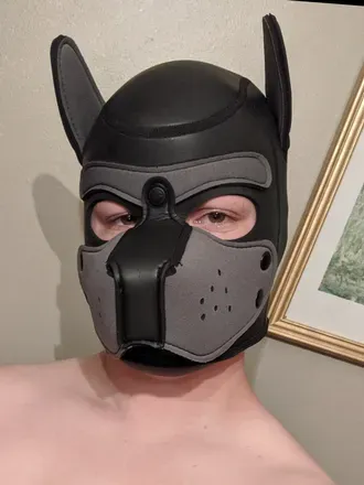 @pupjackal