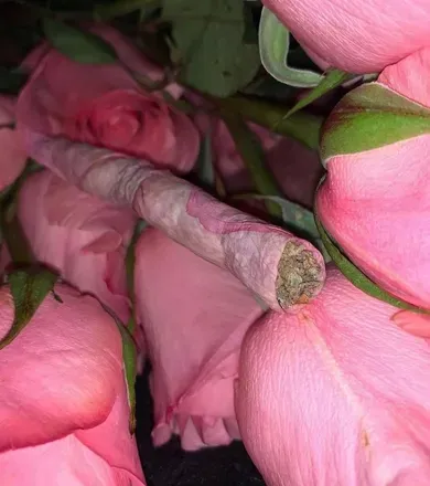 @solebaberaina
