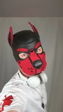 @dogcz11