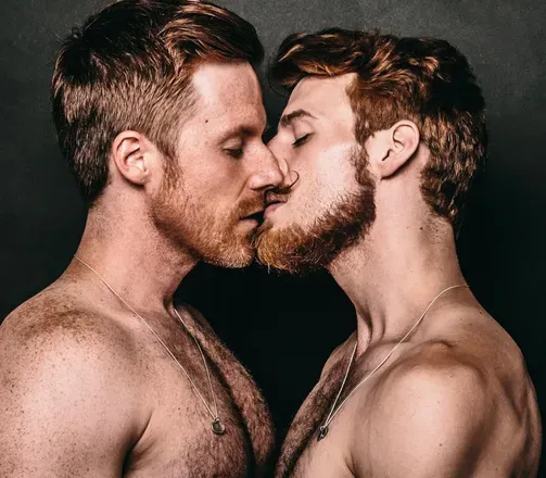 @gingerb3ardhaus