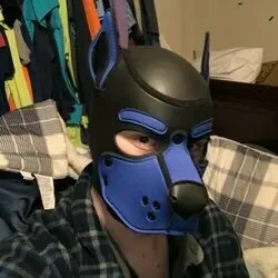 @safari_kyle