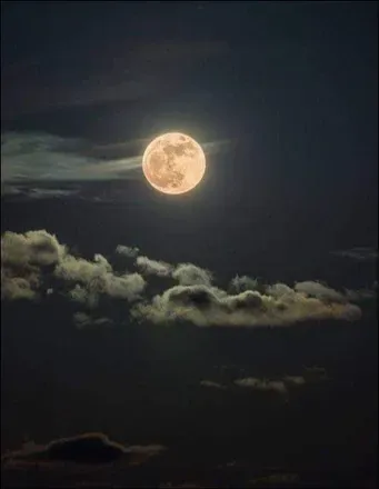 @carolina199749