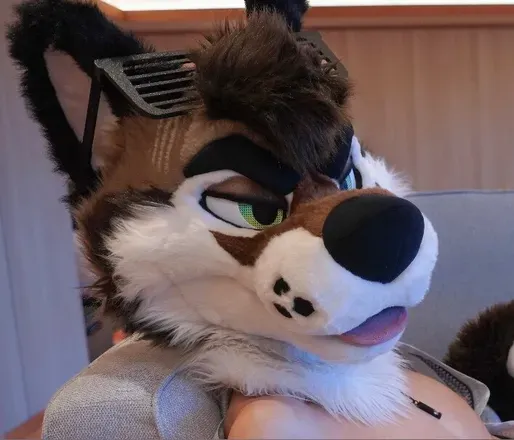 @palacewolf