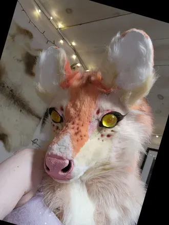 @scoopsthedoe