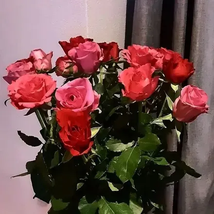 @sweetguidance