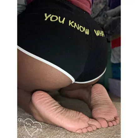 @ohmypedi