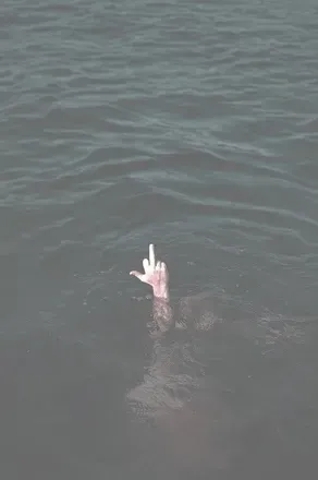 @maesy