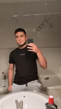 @lionarmani
