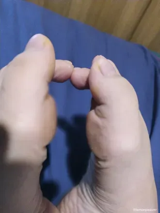 @lemonpieasmr