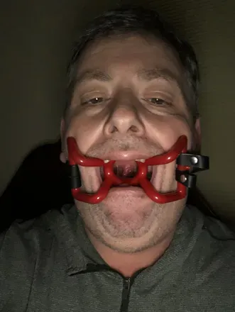 @bearishgayveteran