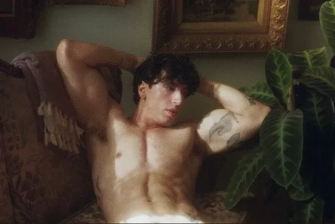 @artemisbold