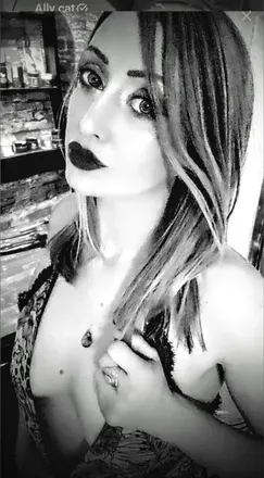 @ally_cat.com