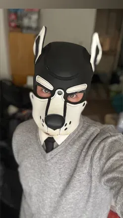 @dogcz11