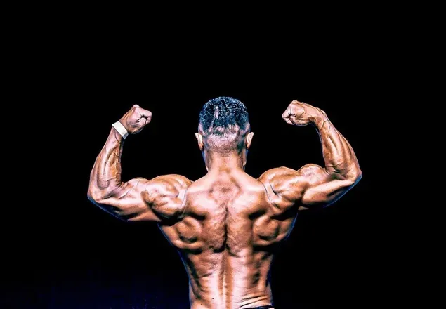 @muscle.monster