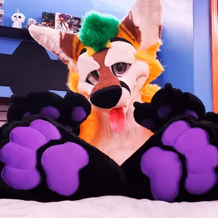 @thepineapplefox