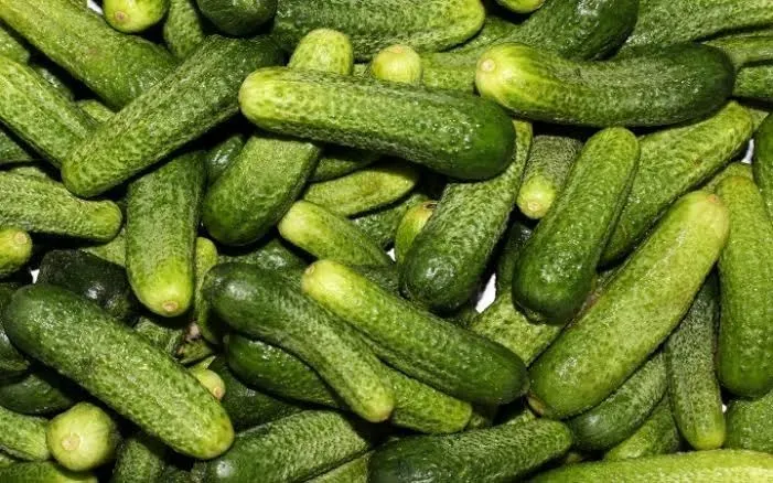 @only_pickles