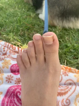 @camelastoe