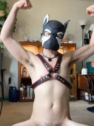 @officiallypuppy