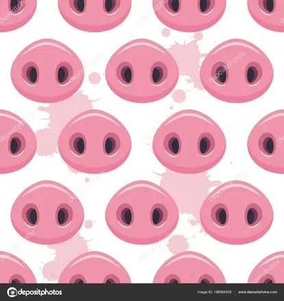 @too.pigs