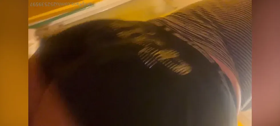 @u252539597