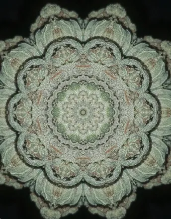 @krg420