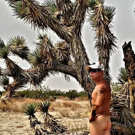 @thenaturistgardener