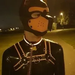 @pup_qu1nn