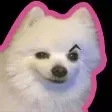 @prigenoma
