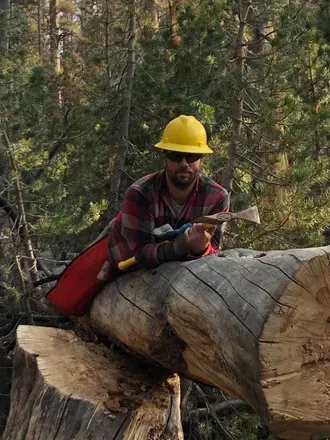 @treesandbeards